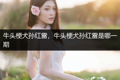 牛頭梗犬孫紅雷，牛頭梗犬孫紅雷是哪一期