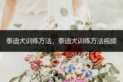 泰迪犬訓練方法，泰迪犬訓練方法視頻