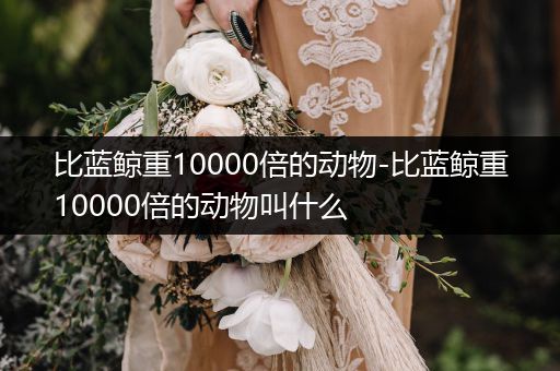 比藍(lán)鯨重10000倍的動物-比藍(lán)鯨重10000倍的動物叫什么