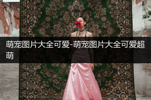 萌寵圖片大全可愛-萌寵圖片大全可愛超萌