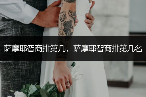 薩摩耶智商排第幾，薩摩耶智商排第幾名