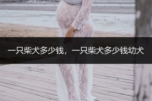 一只柴犬多少錢，一只柴犬多少錢幼犬