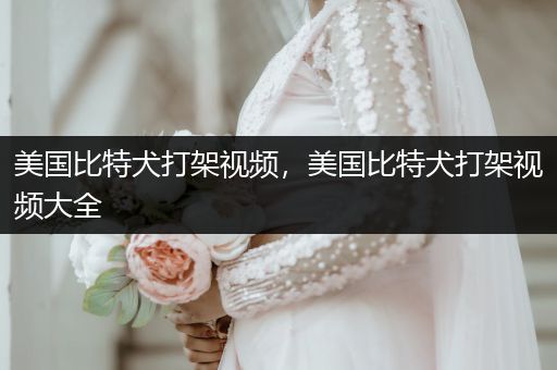 美國比特犬打架視頻，美國比特犬打架視頻大全