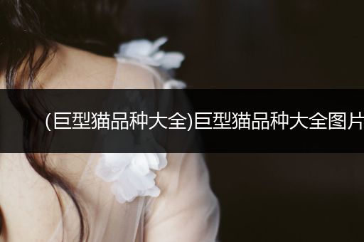 （巨型貓品種大全)巨型貓品種大全圖片
