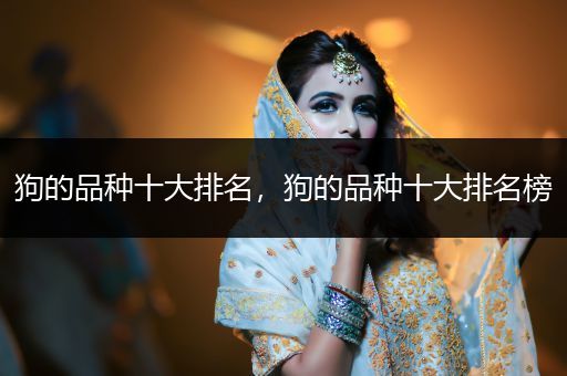狗的品種十大排名，狗的品種十大排名榜