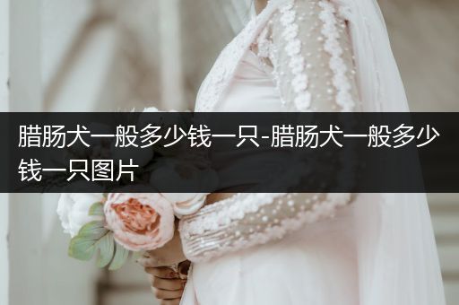 臘腸犬一般多少錢一只-臘腸犬一般多少錢一只圖片