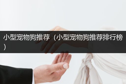 小型寵物狗推薦（小型寵物狗推薦排行榜）