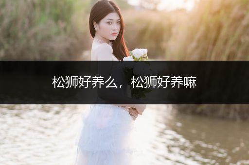 松獅好養(yǎng)么，松獅好養(yǎng)嘛