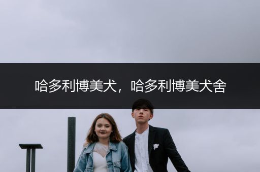 哈多利博美犬，哈多利博美犬舍