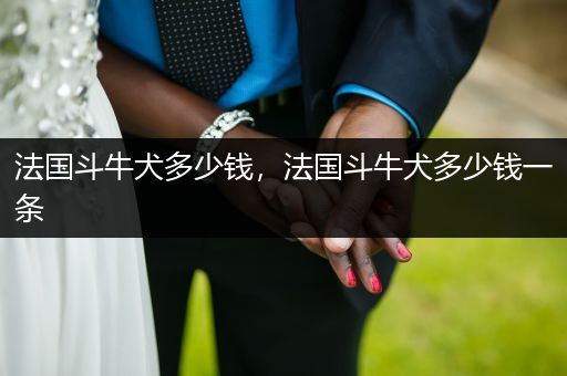 法國(guó)斗牛犬多少錢(qián)，法國(guó)斗牛犬多少錢(qián)一條