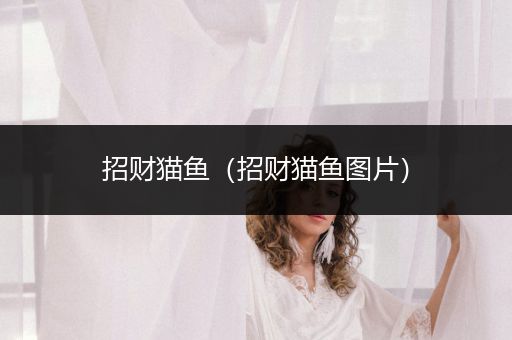 招財(cái)貓魚(yú)（招財(cái)貓魚(yú)圖片）
