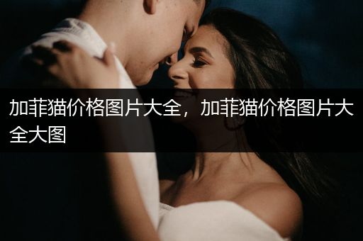 加菲貓價格圖片大全，加菲貓價格圖片大全大圖
