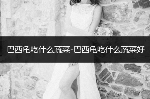 巴西龜吃什么蔬菜-巴西龜吃什么蔬菜好