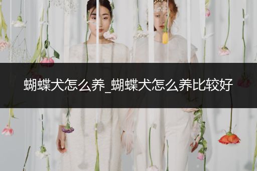 蝴蝶犬怎么養(yǎng)_蝴蝶犬怎么養(yǎng)比較好