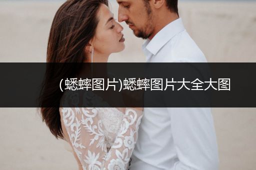 （蟋蟀圖片)蟋蟀圖片大全大圖