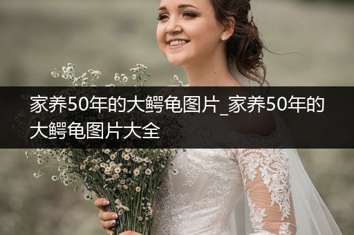 家養(yǎng)50年的大鱷龜圖片_家養(yǎng)50年的大鱷龜圖片大全