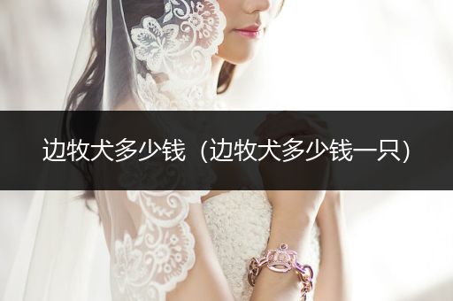 邊牧犬多少錢（邊牧犬多少錢一只）