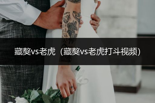 藏獒vs老虎(藏獒vs老虎打斗視頻)