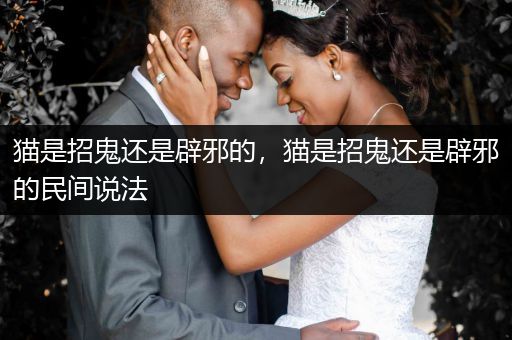 貓是招鬼還是辟邪的，貓是招鬼還是辟邪的民間說法