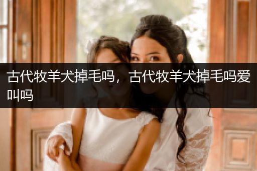 古代牧羊犬掉毛嗎，古代牧羊犬掉毛嗎愛(ài)叫嗎