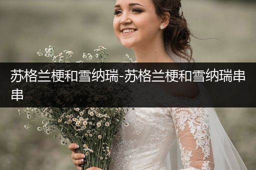 蘇格蘭梗和雪納瑞-蘇格蘭梗和雪納瑞串串