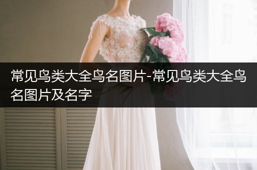 常見(jiàn)鳥類大全鳥名圖片-常見(jiàn)鳥類大全鳥名圖片及名字