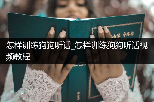 怎樣訓(xùn)練狗狗聽話_怎樣訓(xùn)練狗狗聽話視頻教程