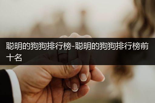 聰明的狗狗排行榜-聰明的狗狗排行榜前十名