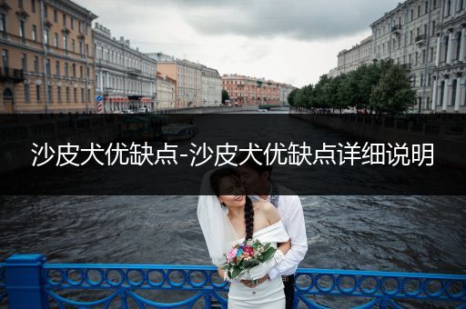 沙皮犬優(yōu)缺點(diǎn)-沙皮犬優(yōu)缺點(diǎn)詳細(xì)說(shuō)明