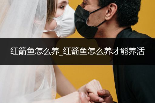 紅箭魚怎么養(yǎng)_紅箭魚怎么養(yǎng)才能養(yǎng)活