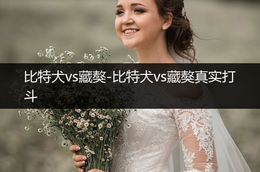 比特犬vs藏獒-比特犬vs藏獒真實打斗