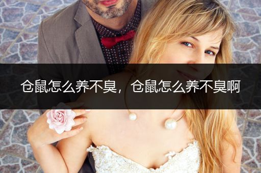 倉(cāng)鼠怎么養(yǎng)不臭，倉(cāng)鼠怎么養(yǎng)不臭啊