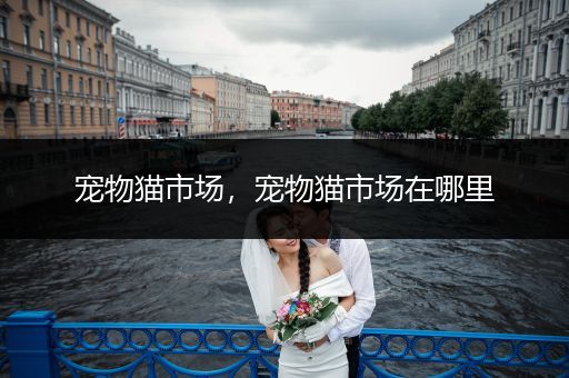 寵物貓市場(chǎng)，寵物貓市場(chǎng)在哪里