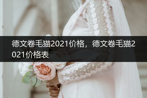 德文卷毛貓2021價(jià)格，德文卷毛貓2021價(jià)格表