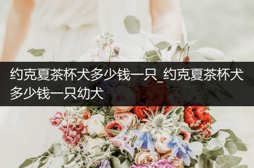 約克夏茶杯犬多少錢一只_約克夏茶杯犬多少錢一只幼犬