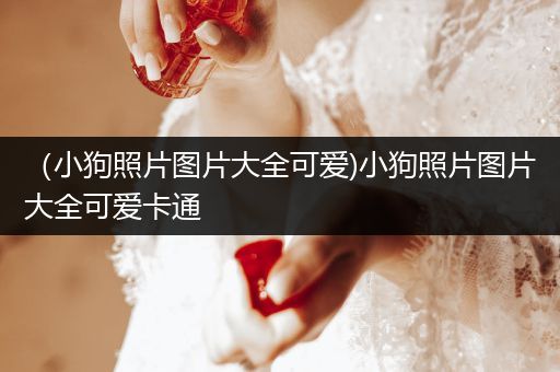 （小狗照片圖片大全可愛(ài))小狗照片圖片大全可愛(ài)卡通