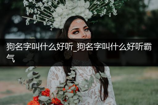 狗名字叫什么好聽_狗名字叫什么好聽霸氣
