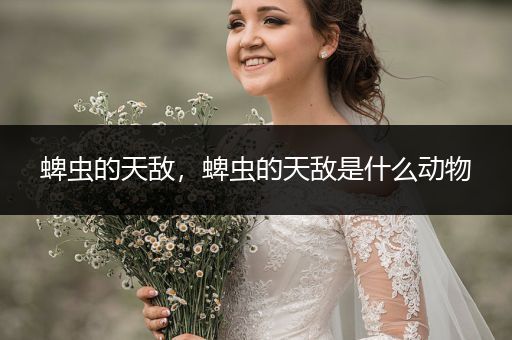 蜱蟲的天敵，蜱蟲的天敵是什么動物