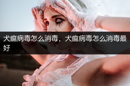 犬瘟病毒怎么消毒，犬瘟病毒怎么消毒最好