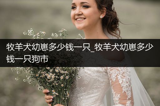 牧羊犬幼崽多少錢一只_牧羊犬幼崽多少錢一只狗市