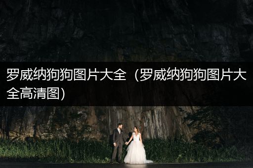 羅威納狗狗圖片大全（羅威納狗狗圖片大全高清圖）
