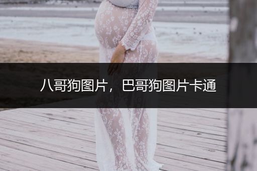 八哥狗圖片，巴哥狗圖片卡通