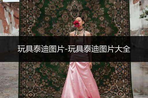 玩具泰迪圖片-玩具泰迪圖片大全