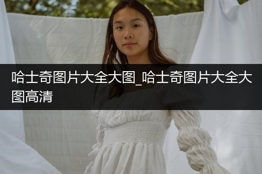 哈士奇圖片大全大圖_哈士奇圖片大全大圖高清