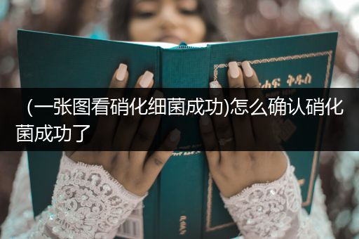 （一張圖看硝化細菌成功)怎么確認硝化菌成功了