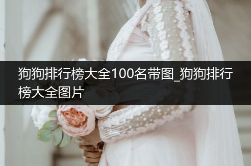 狗狗排行榜大全100名帶圖_狗狗排行榜大全圖片