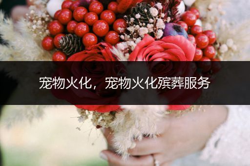 寵物火化，寵物火化殯葬服務(wù)