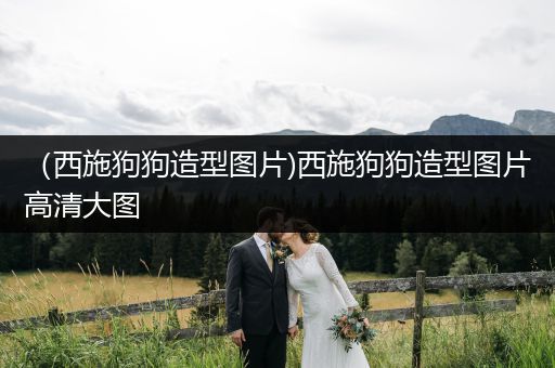 （西施狗狗造型圖片)西施狗狗造型圖片高清大圖