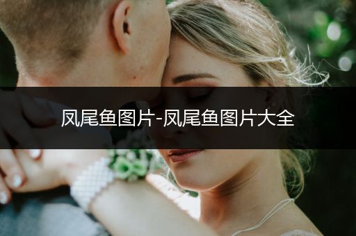 鳳尾魚圖片-鳳尾魚圖片大全