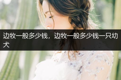 邊牧一般多少錢，邊牧一般多少錢一只幼犬